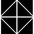 ShahSquared Consulting Logo