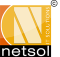 Netsol IT Solutions Pvt. Ltd. Logo