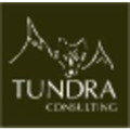 Tundra Consulting Logo