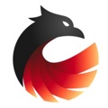 Phoenix Network Logo