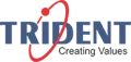 Trident Information Systems Pvt. Ltd. Logo