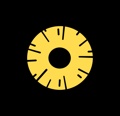 Pineapple Design Logo