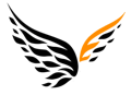 Nesr Synergy Logo