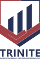 Trinite Consulting Group LLC Logo