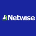 Netwise Logo