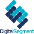 Digital Segment, LLC Logo