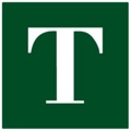 Theory Consulting LLC Logo