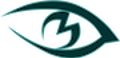M-Vision, Inc Logo