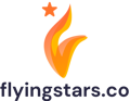 Flying Stars Informatics Logo