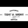 Tidy and Shiny Home Logo