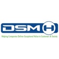 DSM-H Consulting Logo