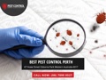 Best Pest Control Perth Logo