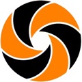 Excelsior Search Logo