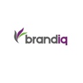 Brand IQ Inc. Logo