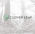 Clover Leaf Solutions, LLC Logo