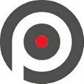 Precision Sports & Entertainment Group Logo