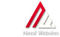Need Websites Logo