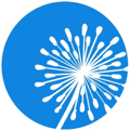 Dandelion Web Design Inc. Logo