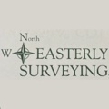 North Easterly Surveying, Inc Logo