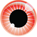 Freshmarkom - #1 Société de développement Web Logo
