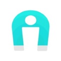 Magnetic Field Logo