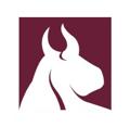 Taurus Investment Holdings, LLC Logo