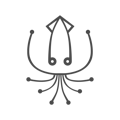 Curious Squid, LLC Logo
