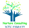 Nurture Business and Investment Consulting Logo