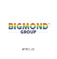 BIGMOND GROUP Logo