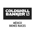 Coldwell Banker Mexico Logo