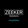 Zeeker Solutions Logo