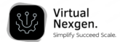 Virtual Nexgen Solutions Logo