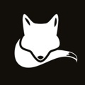 simplefox GmbH Logo