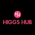 HIGGS HUB Logo