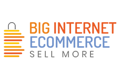 Big Internet Seller Services Inc Logo