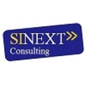 SINEXT Consulting Logo