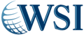 WSI DM Inc. Logo