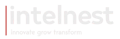 Intelnest Logo