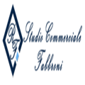 Studio Commerciale Fabbroni Logo