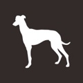 SIGHTHOUND Search Partners Logo