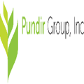 Pundir Group, Inc. Logo