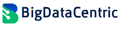 BigDataCentric Logo