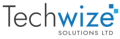 TechWize Logo