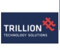 Trillion Technology Solutions, Inc Logo