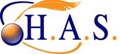 Higher Accounting Services Corporation Logo
