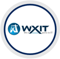 Wxit Consultant Services Logo