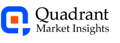 Quadrant Market Insights Logo