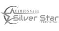 Silver Star Trucking Logo