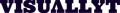 Visuallyt Logo