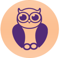 Smart Owl Info Systems Logo